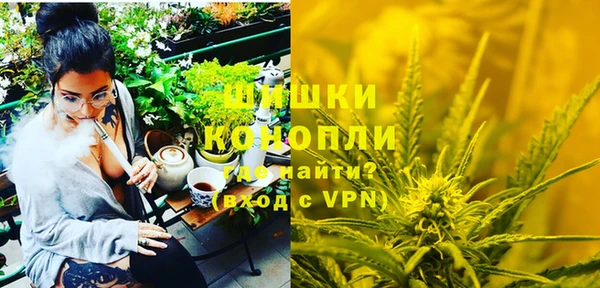 стафф Вязьма