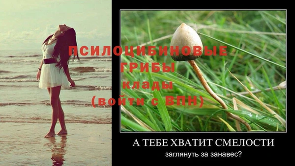 каннабис Тында