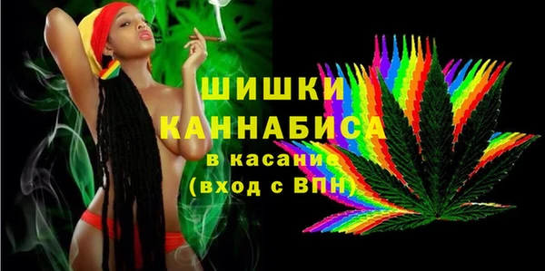 стафф Вязьма