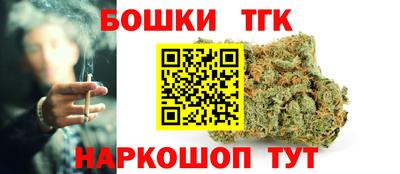 индика Тула