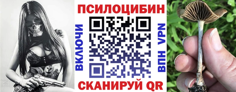 Галлюциногенные грибы Cubensis  Снежинск 