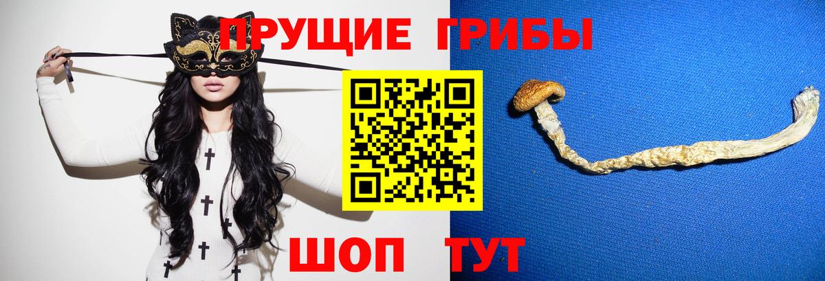 Галлюциногенные грибы прущие грибы  Галлюциногенные грибы Cubensis  Вход с VPN  Снежинск 